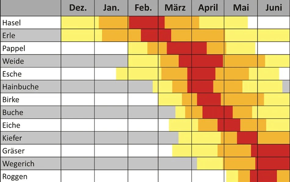 Gesamtdeutscher Pollenflugkalender Teilausschnitt des gesamtdeutschen Pollenflugkalender