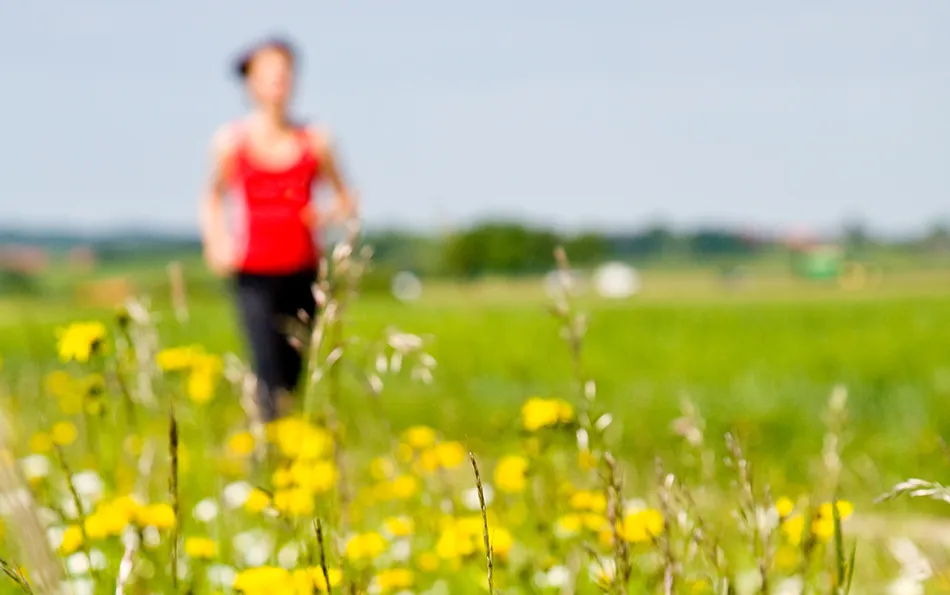 Pollenflugkalender und Outdoor Sport Eine blühende Wiese und eine verschwommene laufende Person im Hintergrund