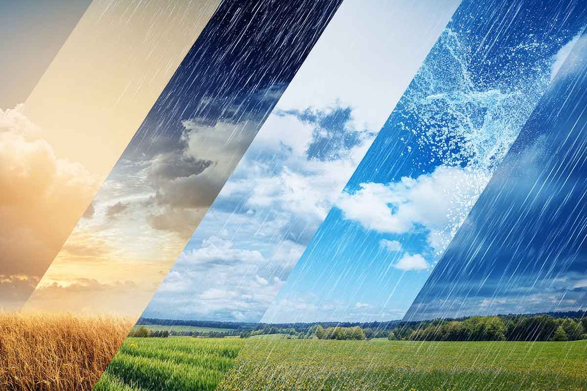 Pollenflugkalender Wettervorhersagen Unterschiedliche Wetter Darstellungen